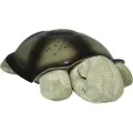 Lilikim Tortoise LED Bedside Lamp Turtle (CB0008)