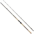 Abu Garcia Beast Pro2 Baitcastingstang