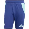 Adidas Arsenal Fc 24/25 Trening Shorts