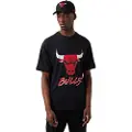 New Era Chicago Bulls Nba Script Mesh Kortarmet T-skjorte