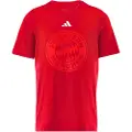 Adidas Fc Bayern Dna Graphic Kortarmet T-skjorte