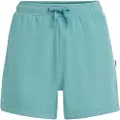 O'Neill Beach Vintage Shorts blå