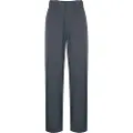 Dickies Elizaville Bukser