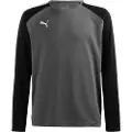 Puma Teampacer Langarmet T-skjorte