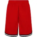 Urban Classics Stripe Mesh Shorts