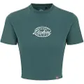 Dickies Globe Kortarmet T-skjorte