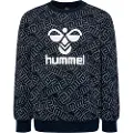 Hummel Carson Collegegenser