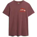 Superdry Great Outdoor Chest Graphc Kortarmet T-skjorte