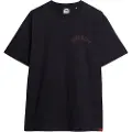 Superdry Tattoo Graphic Loose Kortarmet T-skjorte