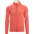 Icebreaker Zone Knit Zip Collegegenser