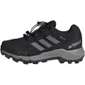 Adidas Terrex Goretex Tursko