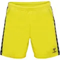 Hummel Authentic Pl Shorts