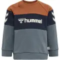 Hummel Samson Collegegenser