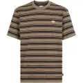 Dickies Stevensville Stripe Kortarmet T-skjorte