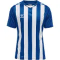 Hummel Core Xk Striped Kortarmet T-skjorte