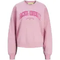 Jack & Jones Ava Rlx Ls Jjxx Collegegenser
