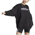Adidas All Szn Fleece Graphic Collegegenser