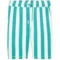 Tom Tailor Striped Sweat Jogging Shorts