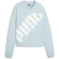 Puma Power Collegegenser