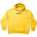 Levi's Unisex T2 Standard Graphic Hettegenser