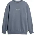 Superdry Micro Logo Graphic Loose Collegegenser