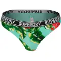 Superdry Vintage Surf Logo Bikini Bunn