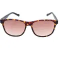 Adidas Aor031-092009 Solbriller