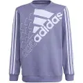 Adidas Logo Collegegenser