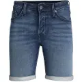 Jack & Jones Rick Icon Ge 341 I.k Plus Size Korte Jeans