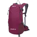 Joluvi Bulnes 23l Ryggsekk