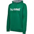 Hummel Go Cotton Logo Hetteskjorte