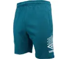 Umbro Terrace Shorts