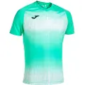Joma Tiger V Kortarmet T-skjorte