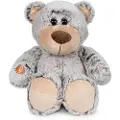 Famosa My Talking Teddy Bear Ud Bamse