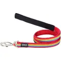 Red Dingo Rainbow Dog Hundebånd