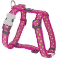 Red Dingo Stars Lime On Hot Hundesele