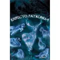 Pyramid Harry Potter Patronus plakat