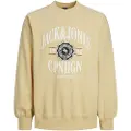 Jack & Jones Lucca Branding Collegegenser