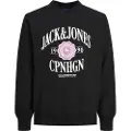 Jack & Jones Lucca Branding Collegegenser