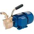 Liverani Ep20 Cc Selvsugende Pumpe 12v