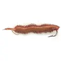 Evia Sand Worm Small Mykt Agn