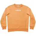 Levi's Unisex Graphic Crew Collegegenser