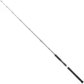 Daiwa Legalis Jigging Stang