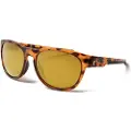 Ocean Sunglasses Goldcoast Solbriller