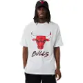 New Era Chicago Bulls Nba Script Mesh Kortarmet T-skjorte