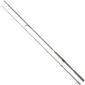 Daiwa Saltist Ags Iii Spinnestang