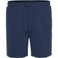 Tommy Hilfiger College Pop Surfer Shorts