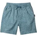 Quiksilver Taxer Shorts