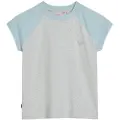 Superdry Essential Logo Raglan Kortarmet T-skjorte