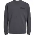 Jack & Jones Guru Collegegenser